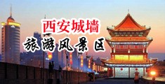 嗯啊插爽中国陕西-西安城墙旅游风景区