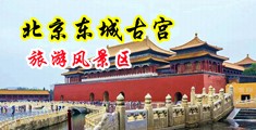 双飞俩骚货网中国北京-东城古宫旅游风景区